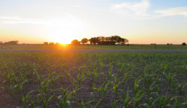 TFB urges protection of landowner rights in pole attachment debate TFB urged state lawmakers to protect private property rights as they consider policies related to broadband deployment and pole attachments in rural Texas.