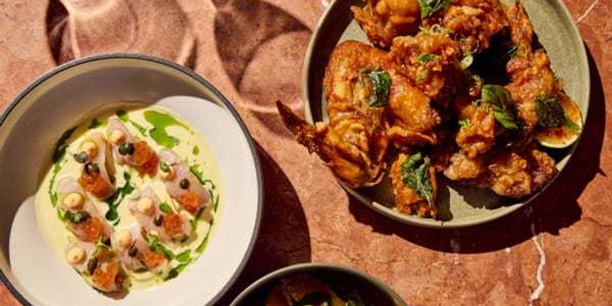 Michelin Guide sets date to reveal 2026 Texas restaurants