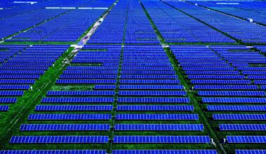 Texas Avoids Blackout by the Grace of Solar Power