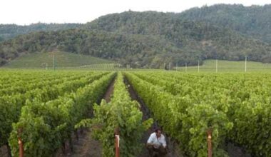 Napa wine brand The Debate opens Hill Country tasting room