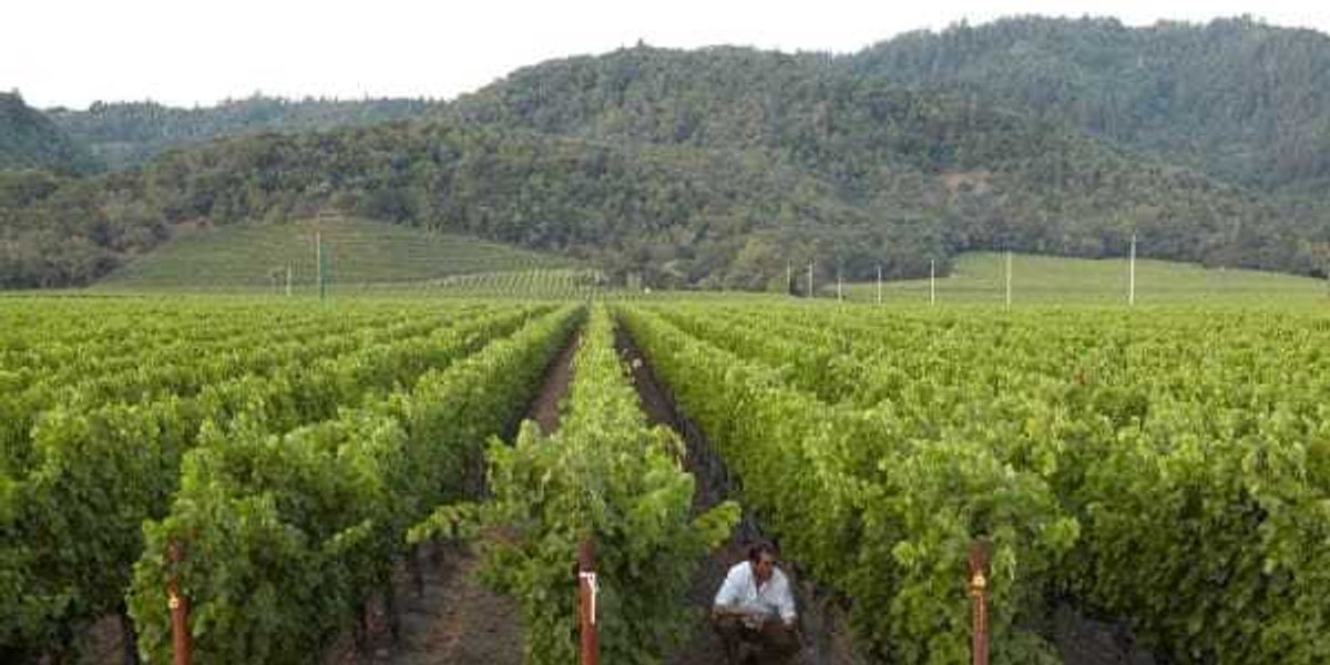 Napa wine brand The Debate opens Hill Country tasting room