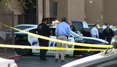 Dallas police officer fires shots at stabbing suspect in Northeast Dallas, police say
