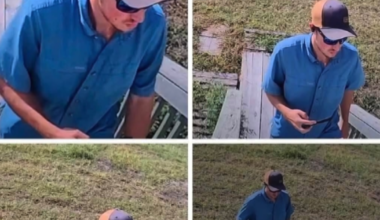 Oops! New details emerge on the man caught taking photos of people's homes