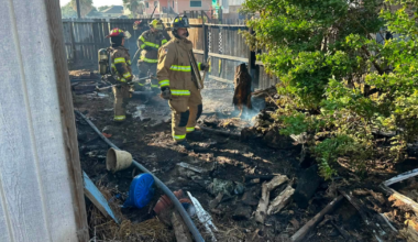 Flour Bluff grass fire spreads to fence, quickly extinguished