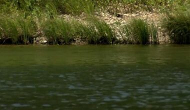 How Corpus Christi’s water emergency exposed flaws in Texas’ water planning