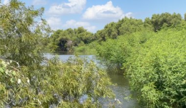 Lake Corpus Christi is 91% full, but residents warn of hidden dangers