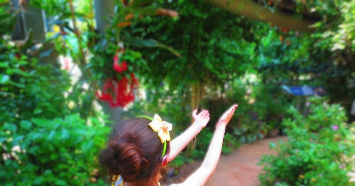 Stingrays, sharks and butterflies: Connect with nature (and avoid heat stroke) at these Fair Park excursions