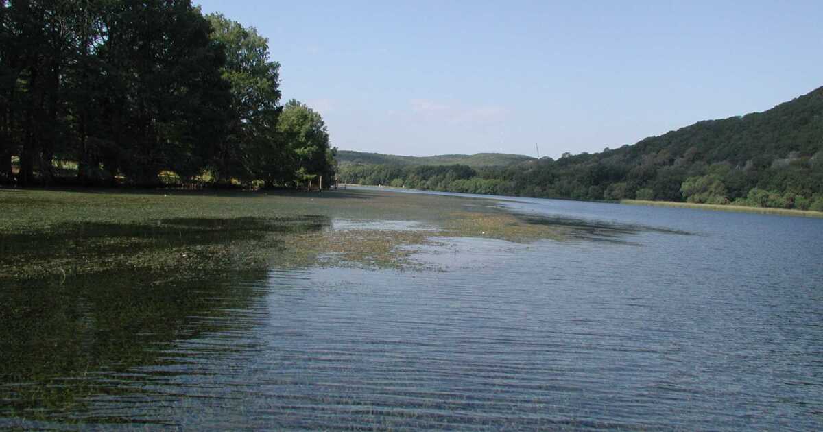 City could lower Lake Austin to combat invasive hydrilla