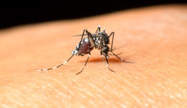 Dallas County confirms first human case of West Nile virus of 2026 season
