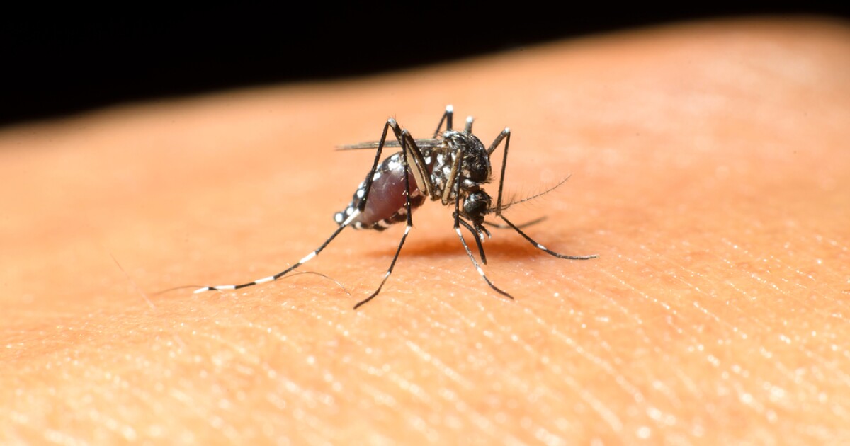 Dallas County confirms first human case of West Nile virus of 2026 season