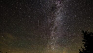 Tips for watching the 2026 Perseid meteor shower in Austin