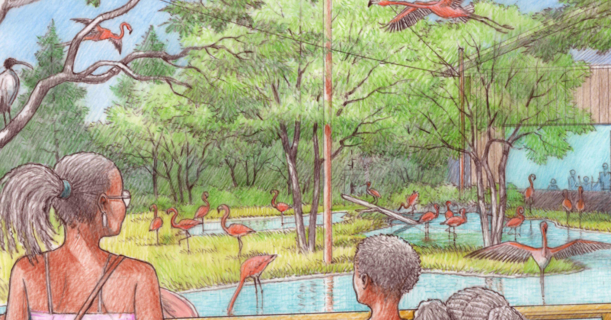 Dallas Zoo grows with upcoming 'Safari Trail' addition