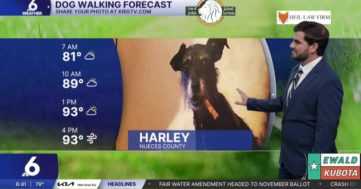 Hump day heat is here, with a breezy afternoon in store for the Coastal Bend