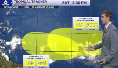 Keeping afternoon showers & sun in your Sunday forecast; watching the tropics