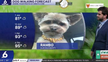 Friday forecast is looking sunny and summer-like with a warm weekend in its wake