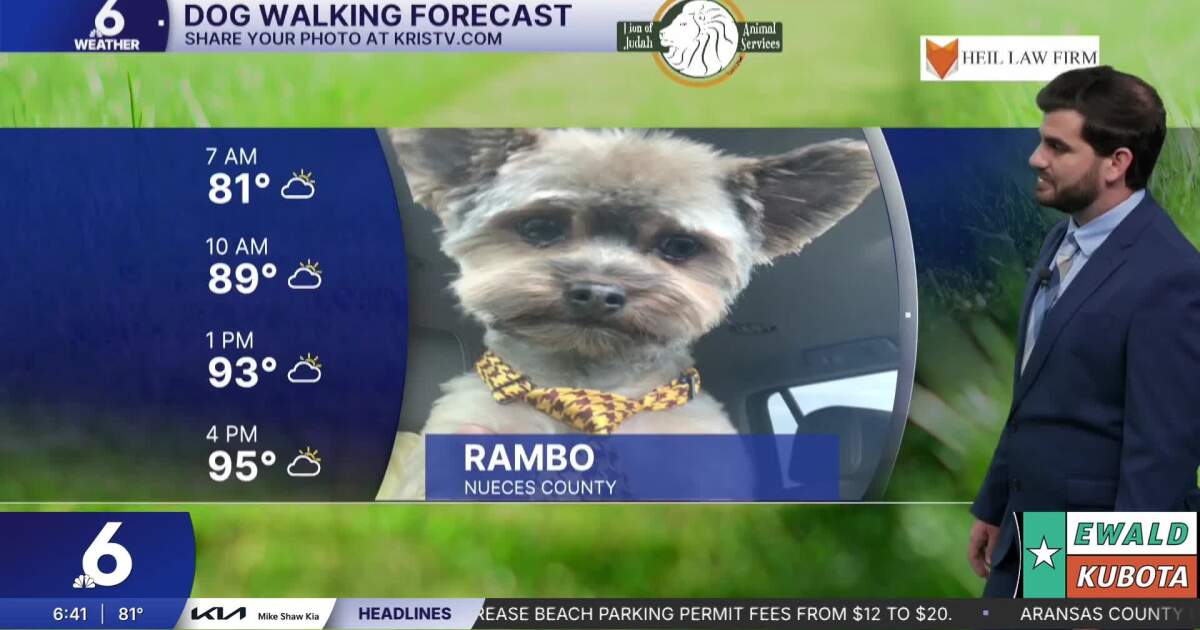 Friday forecast is looking sunny and summer-like with a warm weekend in its wake