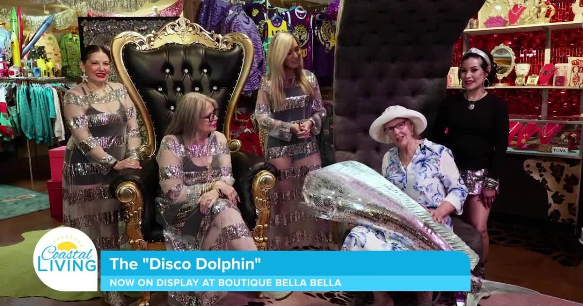 The “Disco Dolphin” Is Now on Display at Boutique Bella Bella