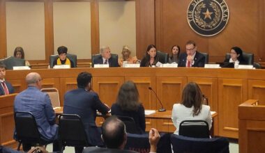 Big new power lines could prevent blackouts in Texas. Dan Patrick wants to block them