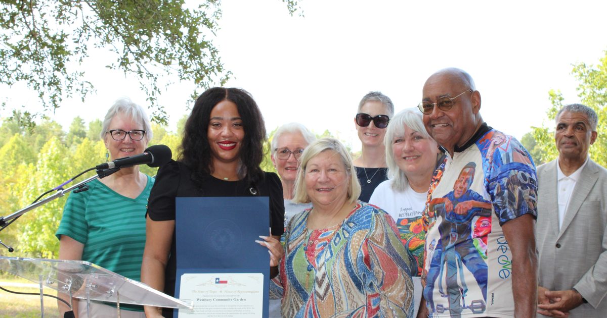 Harris County Precinct 1 invests $9.6M in infrastructure, recreation projects