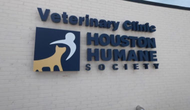 Houston Humane Society opens stand-alone clinic giving pet owners cheaper alternatives