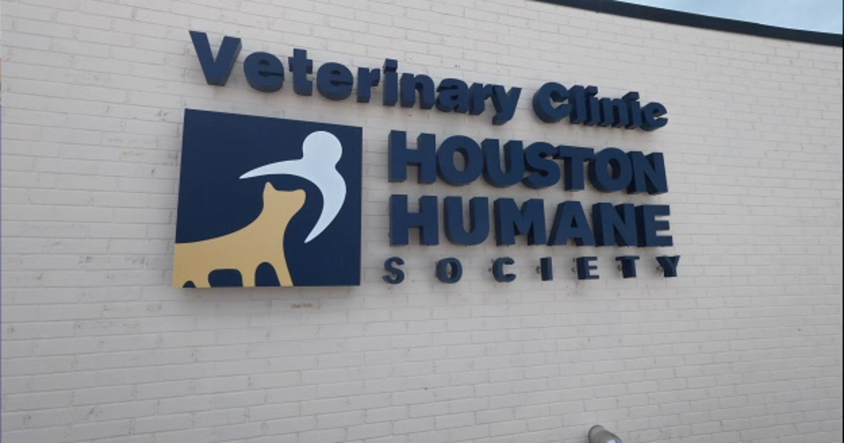 Houston Humane Society opens stand-alone clinic giving pet owners cheaper alternatives