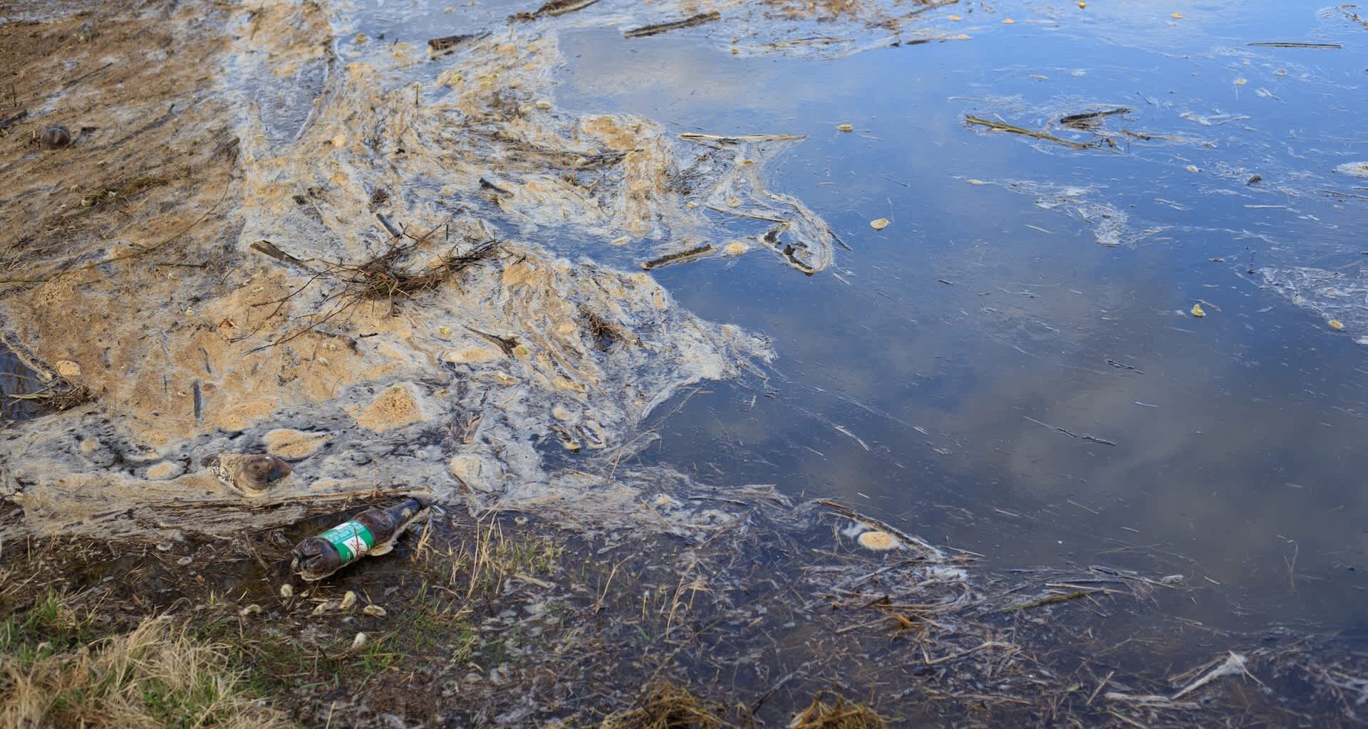 Polluted water.