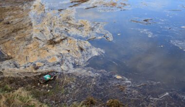 Polluted water.