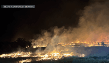 North Texas firefighters help with statewide wildfire response – NBC 5 Dallas-Fort Worth