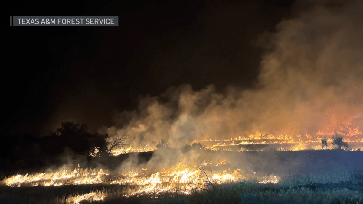 North Texas firefighters help with statewide wildfire response – NBC 5 Dallas-Fort Worth