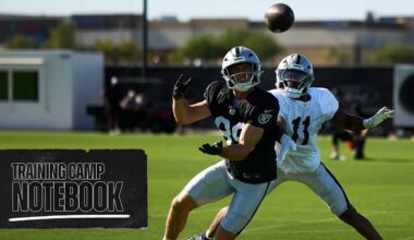 Las Vegas Raiders logo