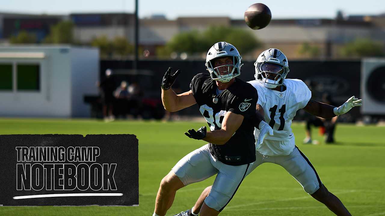 Las Vegas Raiders logo