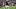 Aug 20, 2026; Houston, Texas, USA; Houston Texans running back Jawhar Jordan (25) practices catching before the Houston Texa Aug 20, 2026; Houston, Texas, USA; Houston Texans running back Jawhar Jordan (25) practices catching before the Houston Texa