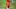  Houston Astros center fielder Jake Meyers  