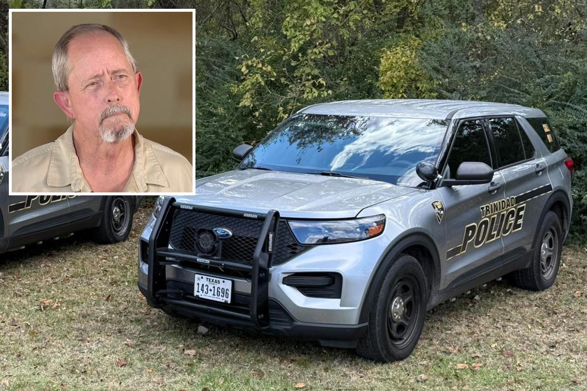 Texas police department that arrested mom over dirty water Facebook post ordered to disband by state