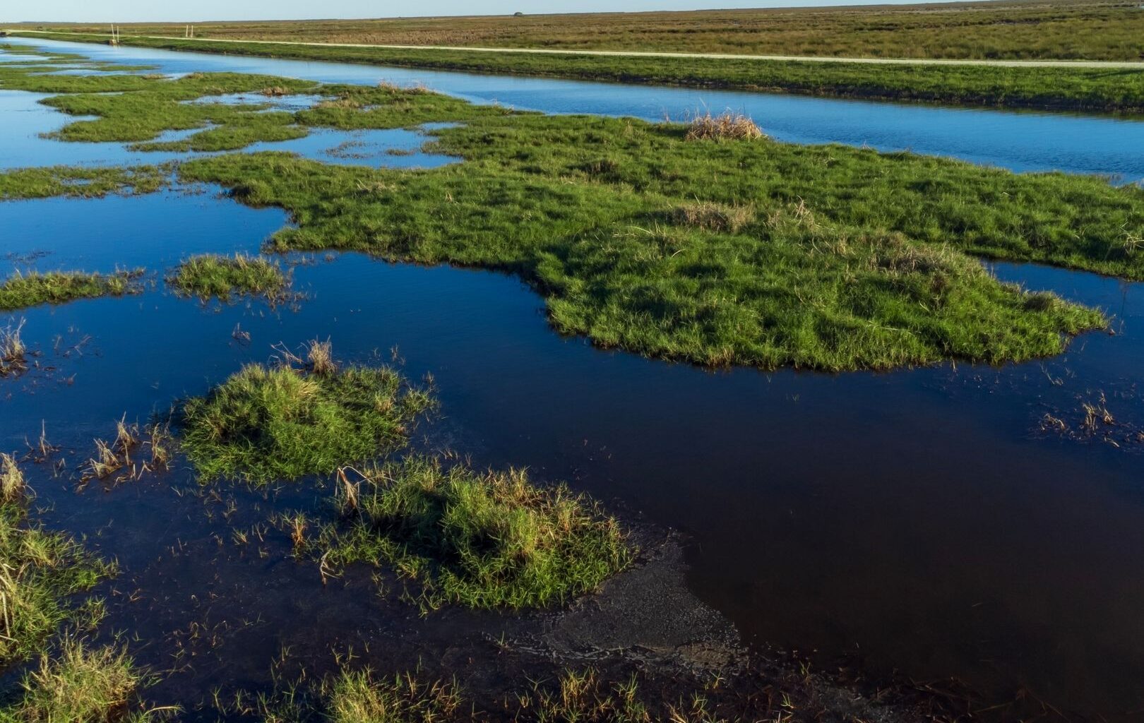 Image shows Aerial view of San Bernard National Wildlife Refuge" style=" height:1080px; width:1620px" _languageinserted="true" src="https://cdn.prod.web.uta.edu/-/media/project/website/news/releases/2026/08/erosion-main.jpg