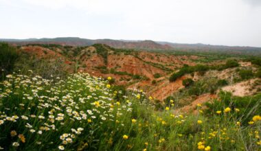Best hikes to try around Lubbock ahead of Texas Tech’s week one matchup with Abilene Christian
