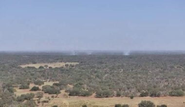 Multiple fire crews, Texas A&M Forest Service battling 350-acre grass fire in Atascosa County