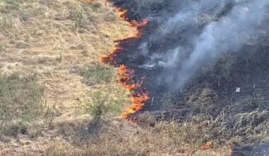 Grass fires burn along highways in Dallas and Denton counties