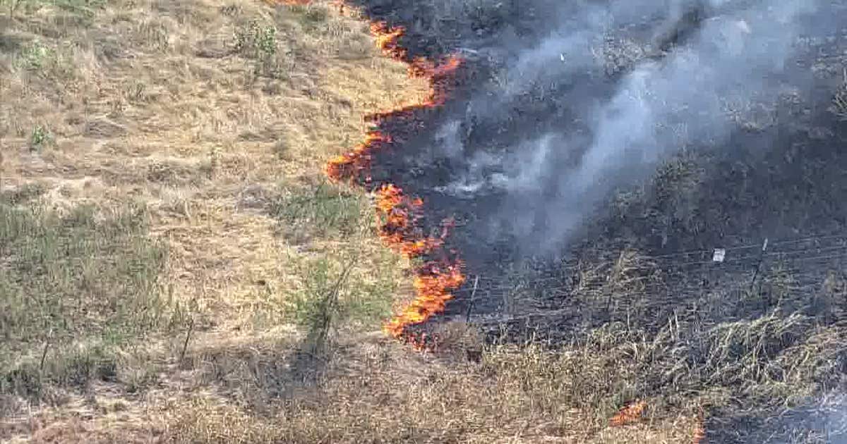 Grass fires burn along highways in Dallas and Denton counties