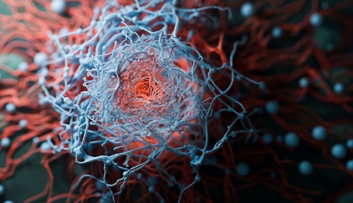 What’s next in cancer research?