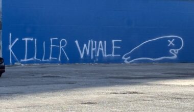 Dallas Whaling Wall has new whale artwork