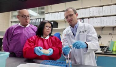 Deadly fungus spreading in Texas now resistant to drugs; San Antonio researchers study new options