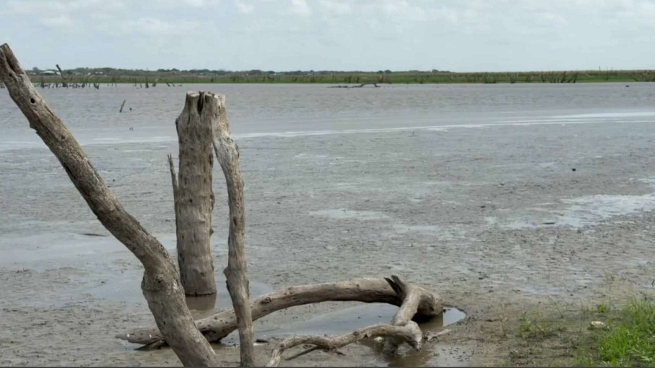 Low water levels at Lake Corpus Christi in 2026. (Spectrum News 1/John Salazar)