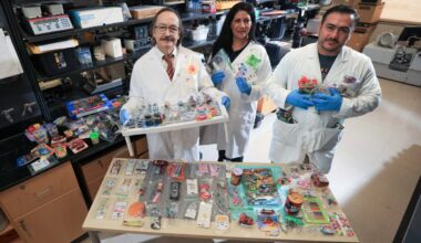 Jorge Gardea-Torresdey, Ph.D. (left), professor of chemistry and biochemistry, and doctoral students Maricarmen Lerma (center) and Abraham Dagda-Torres (right), all from the College of Science, are coauthors of a study that used X-ray fluorescence spectroscopy to find that nearly four out of five children’s toys purchased in the El Paso-Ciudad Juárez region contain at least one toxic element. The research was published in the journal Environmental Pollution.