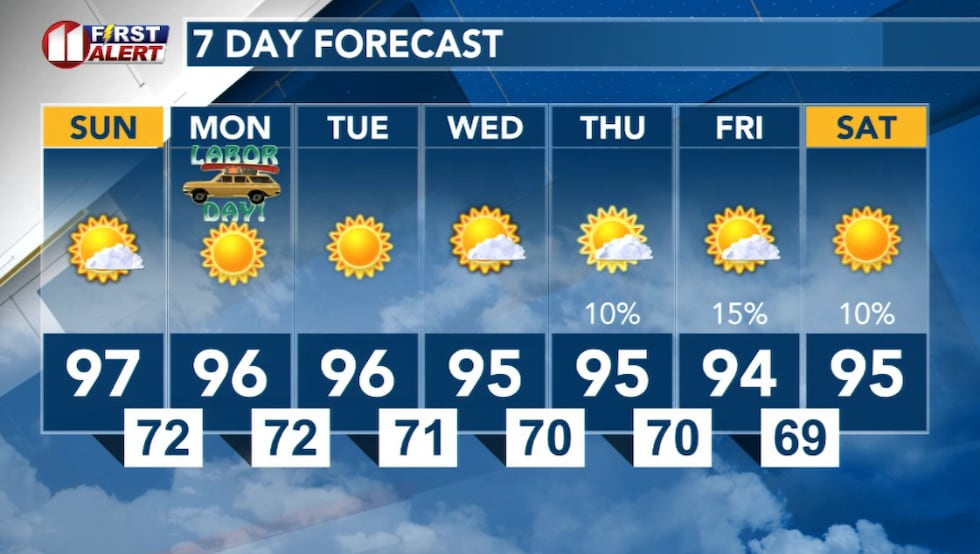 7 Day forecast
