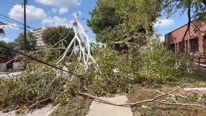 City of San Antonio waiving brush limits as August storm debris cleanup continues
