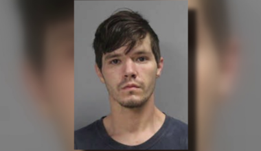 Texas man sentenced to 10 years in prison after more than 130 dogs died at animal rescue