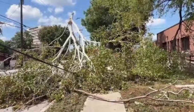 City of San Antonio waiving brush limits as August storm debris cleanup continues