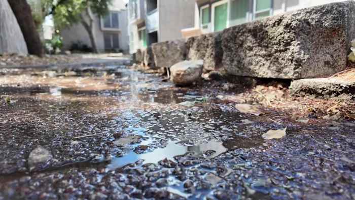 Raw sewage flowing through Northeast Side apartment complex, tenants demand answers