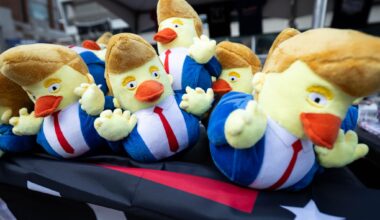 Stuffed rubber ducks resembling President Donald Trump are for sale during the Republican convention at the American Airlines Center in Dallas, Wednesday, Sept. 9, 2026.